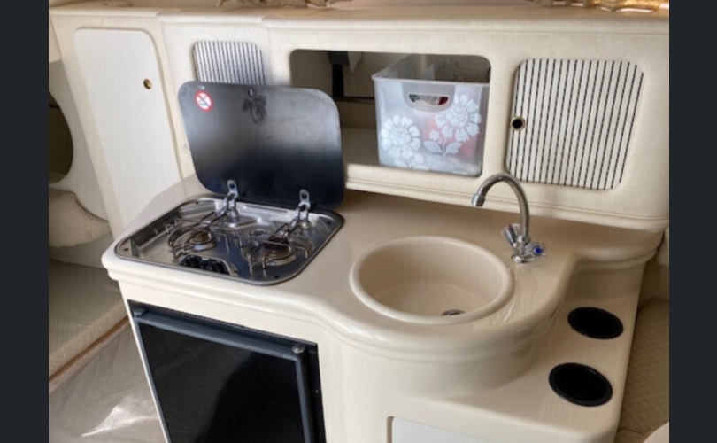 Sea Ray Sundancer 260-kuva-4